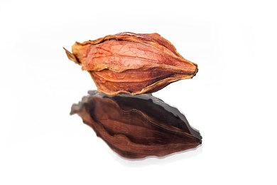 科隆：《红色沙漠》发布新预告展示壮丽世界激烈战斗